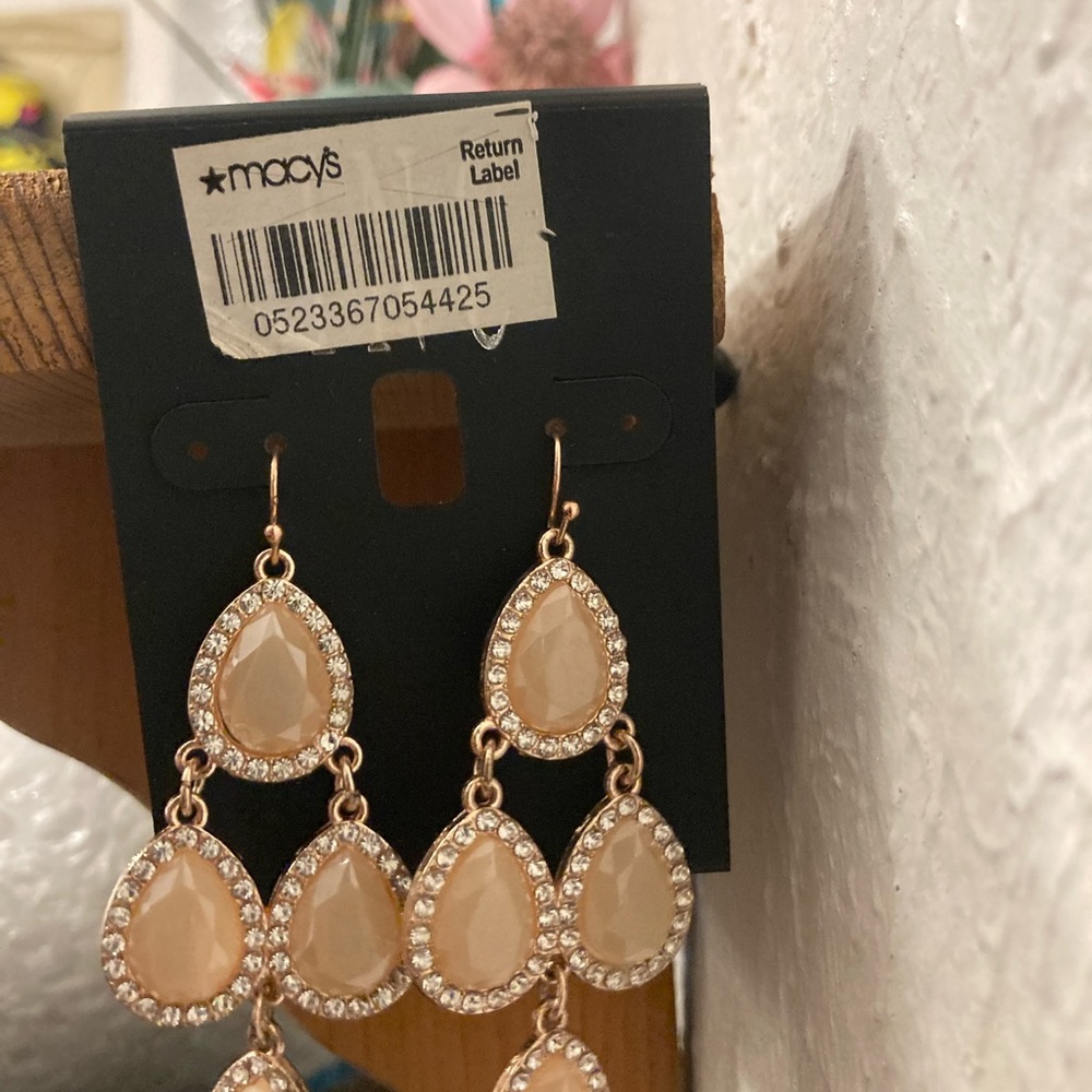 NWT earrings